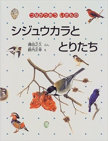 シジュウカラととりたち 福音館のかがくのほん つながりあういきもの 得田 之久 正幸 薮内 本 通販 Amazon