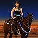 Upgraded LED Horse Breastplate Collar, USB Rechargeable Equestrian Riding Horse Bridle Halter Safety Light Horses Neck Belt Equipment Horsing Accessory - Blue