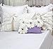 Queen's House Pillow Shams Queen Size Set of 2-B