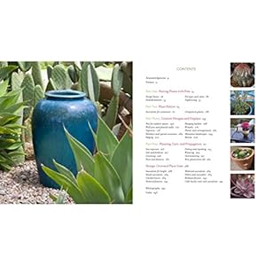 Succulent Container Gardens: Design Eye-Catching Displays with 350 Easy-Care Plants