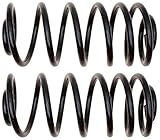 ACDelco 45H1157 Professional Rear Coil Spring Set