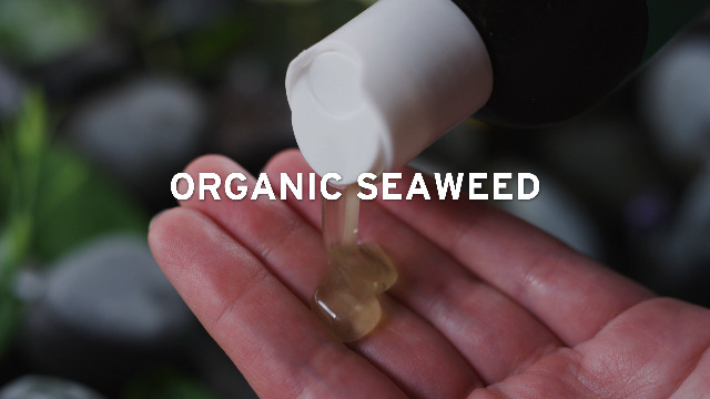 6 Seaweed+Bath+Co+Eucalyptus+Peppermint