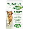 Lintbells-YuMOVE-Adult-Dog-Essential-Hip-and-Joint-Supplement-for-Stiff-Dogs-Aged-5-to-7-120-Tablets YuMOVE Adult Dog | Joint Supplement for Adult Dogs, with Glucosamine, Chondroitin, Green Lipped Mussel | Aged 6 to 8…