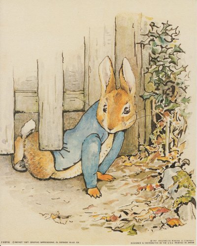 The Tale of Peter Rabbit Beatrix Potter Kids Room Art Print Poster (8x10)