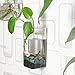 Set of 2 Wall Mounted Clear Glass Terrariums Hanging Flower Vase Square Tube Air Plant Jar