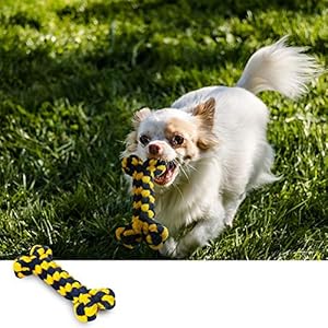 ziidoo Giochi Cane,12 Pezzi Giochi per Cani,Giocattoli di Corda Cane per Cani Grandi Giochi Cane Cucciolo ziidoo ziidoo Giochi Cane,12 Pezzi Giochi per Cani,Giocattoli di Corda Cane per Cani Grandi Giochi Cane Cucciolo