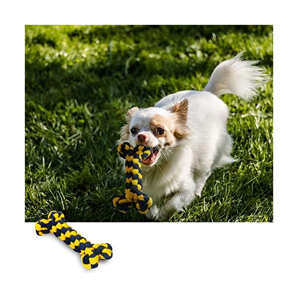 ziidoo Giochi Cane,12 Pezzi Giochi per Cani,Giocattoli di Corda Cane per Cani Grandi Giochi Cane Cucciolo ziidoo ziidoo Giochi Cane,12 Pezzi Giochi per Cani,Giocattoli di Corda Cane per Cani Grandi Giochi Cane Cucciolo