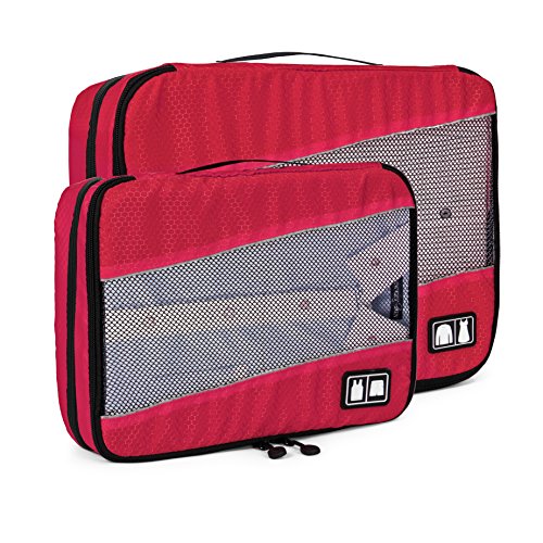 Best Luxury Classic Bagsmart Literacy Basics