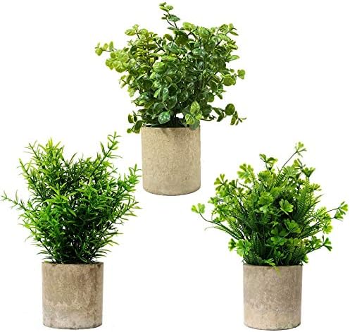 鉢植えの人工植物 四つ葉のクローバー ツゲの木とローズマリー 3個セット ホームオフィスの庭の装飾用の紙パルプポットのプラスチック製の偽の緑 屋内と屋外 15 Cm X 24 Cm W X H Maggal Co Il