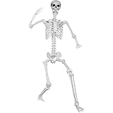 LaLamona 5.9ft/180cm Posable Halloween Skeleton, Life Size Skeleton Bones with Movable Joints for Halloween Graveyard Haunted House Spooky Scene Decor, 1pc