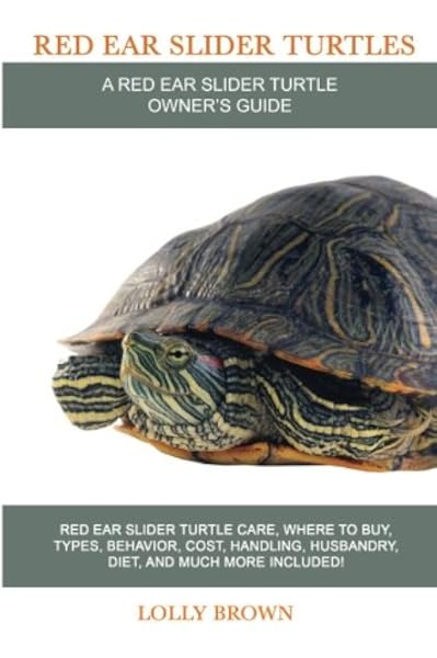 buy a turtle