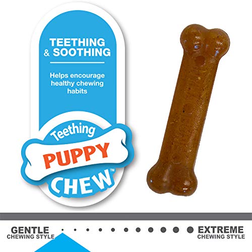 5 Nylabone+Peanut+Butter+Chicken+X+Small
