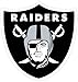 NFL Siskiyou Sports Fan Shop Las Vegas Raiders Logo Magnets 8 inch sheet Team Color