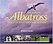 Majestic Albatross of Kauai by
