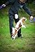 COLLAR Puller Standard Two Rings not just Toy for Dogs Active Toy for Dogs Fitness Toys for Dogs Ideal for Medium and Large Breeds Dog