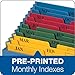 Globe Weis Globe-Weis/Pendaflex QuickVue Project File, Monthly Index, Letter Size, Blue (20135)