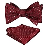 Alizeal Mens Polka Dot Self Tied Bow Tie and Pocket