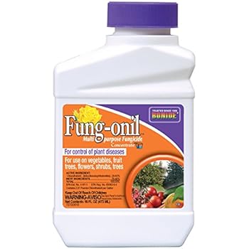Bonide Products 880 Fungonil Fungicide, 16-Ounce
