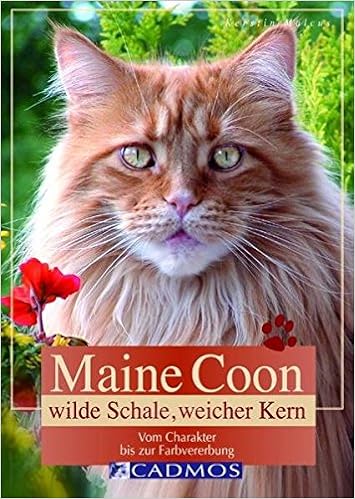 Maine Coon Wilde Schale Weicher Kern Cadmos Heimtierbuch