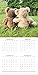 2018 Teddy Bears Calendar - 12 x 12 Wall Calendar - With 210 Calendar Stickers
