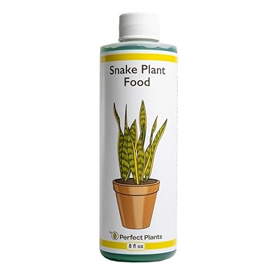 Buy Perfect Plants Liquid Snake Plant Fertilizer 8oz Of Premium Concentrated Sansevieria Plant Food Use With Mother In Laws Tongue And Other Snake Plant Varieties Online In Indonesia B089h29j55