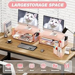 OPNICE Desk Organizers and Accessories, 2-Tier