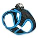 Best Pet Supplies - All Weather Mesh, Reflective, No Pull Harness for Small, Medium Dogs, Cats - Secure with Hook & Loop Fastener, Buckle, Double D-Rings - Blue Trim, M