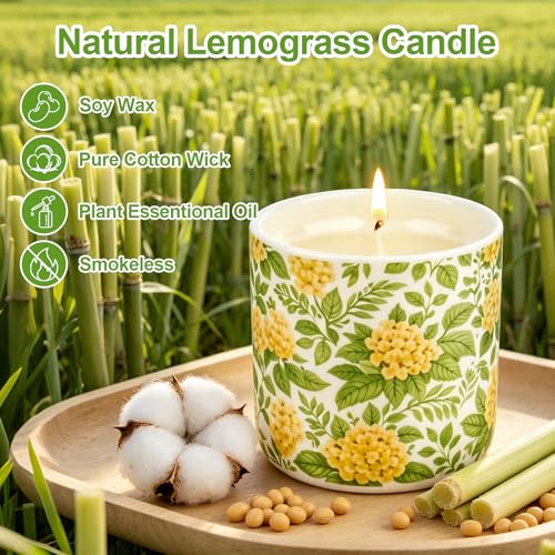Citronella Outdoor Candle, 240 Hours Citronella Candle, Large Ceramic Outdoor Candle, Pack of 2, Natural Soy Wax Citronella Candle for Garden, Camping, Patio, Picnics, Summer Gift