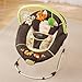 Summer Infant Sweet Comfort Musical Bouncer, Fox and Friends