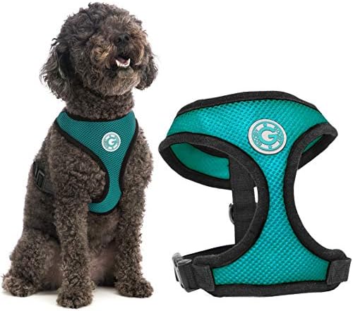 Gooby Dog Harness – Soft Mesh Head-in Small Dog Harness with Breathable Mesh – Perfect on The Go Mesh Harness for Small Dogs or Cat Harness for Indoor and Outdoor Use