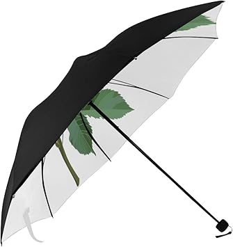 ladies compact windproof umbrella