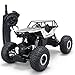 SZJJX RC Cars Off-Road 4WD 2.4Ghz High Speed 1:14 Radio Remote Control Rock Vehicle Crawler Truck Racing Cars Electric Fast Race Buggy Hobby Car Silver