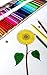 Colored Pencils Roll Up Case with Sharpener for Adults Kids Coloring Drawing Sketching Set