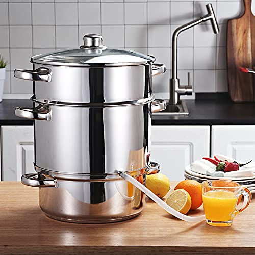 Toolsempire Fruit Steam Juicer Stainless Steel Vegetables Juicer