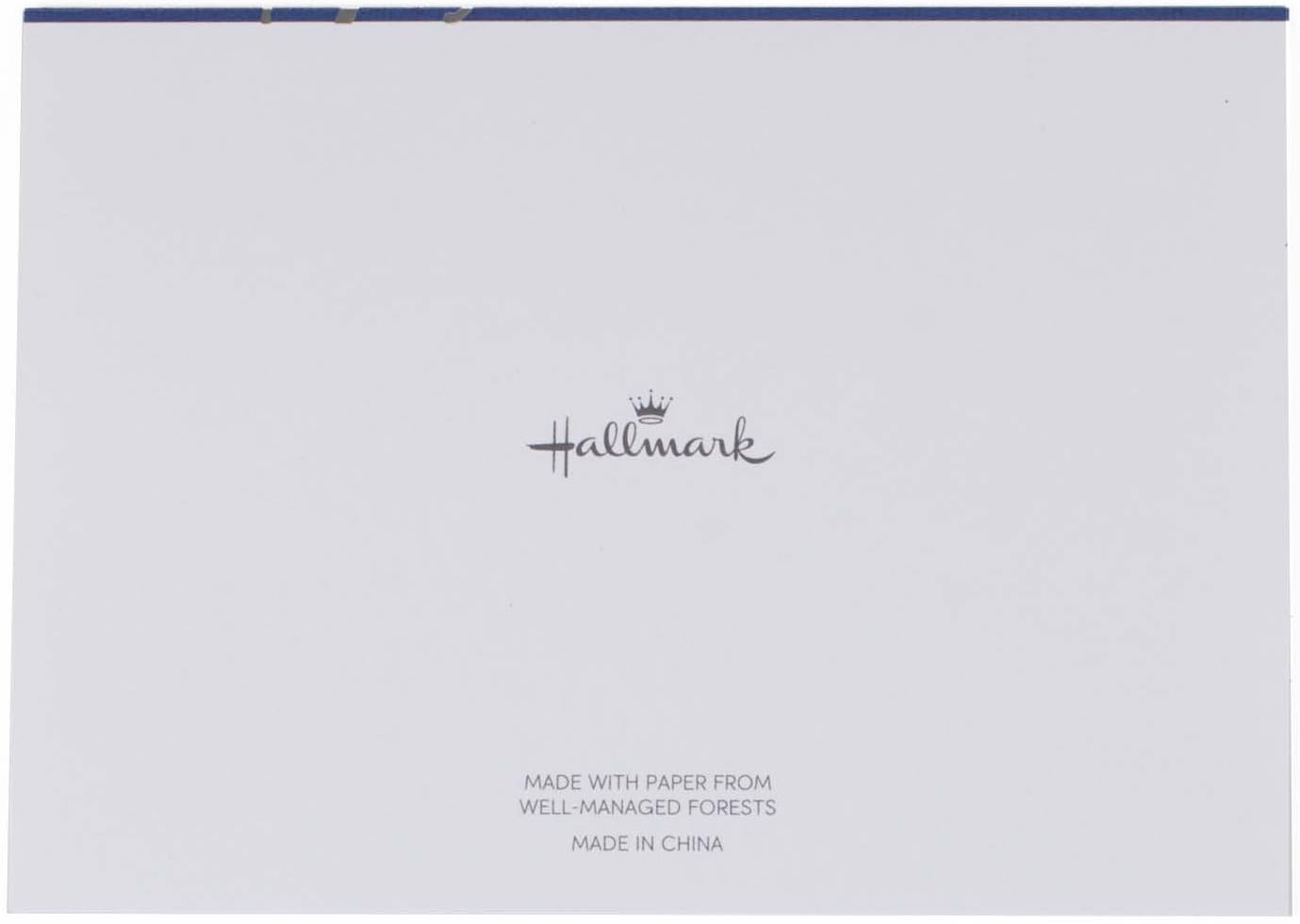 Hallmark Thank You Cards (Silver Foil Script, 40 Thank You Notes and Envelopes): Office Products