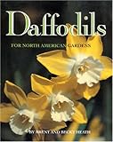 Daffodils for North American Gardens by