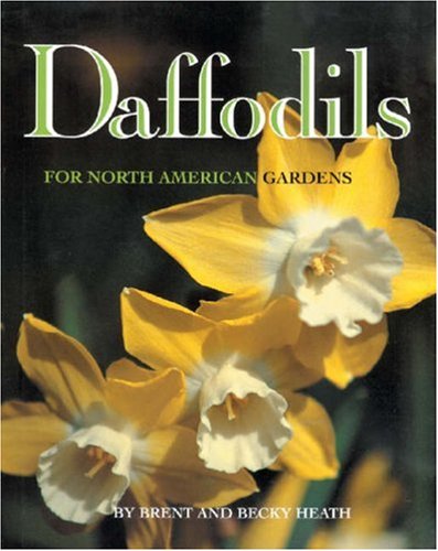 Daffodils for North American Gardens by Becky Heath
