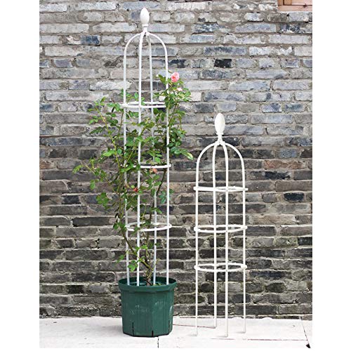 WIVAYE Obelisk Garten-Rankgitter, 10 cm hoch, montiertes Metall-Pflanzengitter für Kletterpflanzen, U-förmiger… – Bild 3