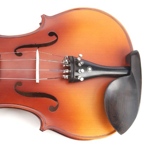 5 Cecilio+CVA+500+Solidwood+DAddario+Prelude