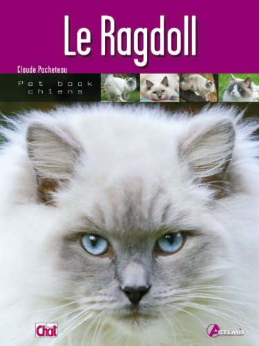 Le  ragdoll