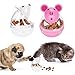 Slow Feed Cat Food Tumbler Pet Treat Ball Toy Feeder