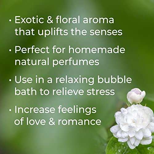 Plant Therapy Jasmine Absolute Essential Oil 100 Pure, Undiluted