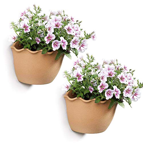 T4U Resin Wall Hanging Planter Apricot Small Set of 2, Wave Edge Pottery Style Plastic Flowers Pot for Home Office Garden Porch Wall Decoration Indoor Outdoor Best Gift