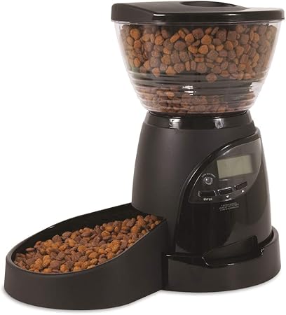 best dog shampoo for dry sensitive skin