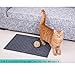 Premium Cat Litter Mat Trapper, Traps Litter from Box and Paws, Scatter Control for Litter Box, Soft on Sensitive Kitty Paws, Easy to Clean, Durable - Set of 2, Standard Grey