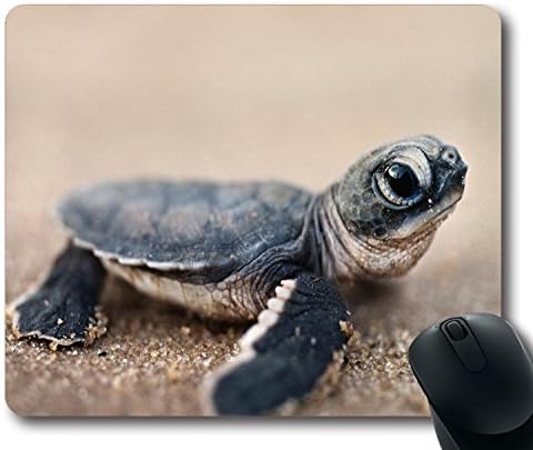 Mouse pad with Amazing Cute Tuttle Baby Free Download Size in 9 inch(220mm) X 7 inch(180mm)