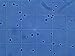 FTCo. Plankton Delight (10oz) - Live Phytoplankton