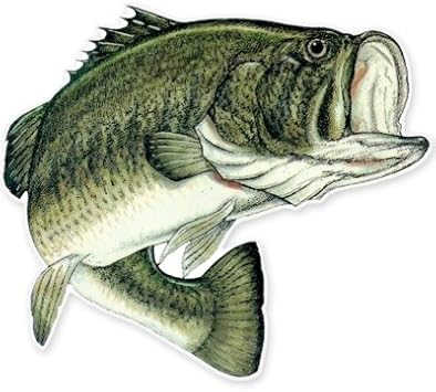 Amazon Com Ak Wall Art Largemouth Bass Fishing Fish Vinyl Sticker