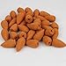 NW 100 Pieces/Bag Sandalwood Incense Cones For Ceramic Backflow