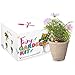 Fairy Garden Craft Kit for Kids - Kids Miniature Indoor DIY Seed Starter Set for Girl or Boys - Fun Creative Activity Ideas